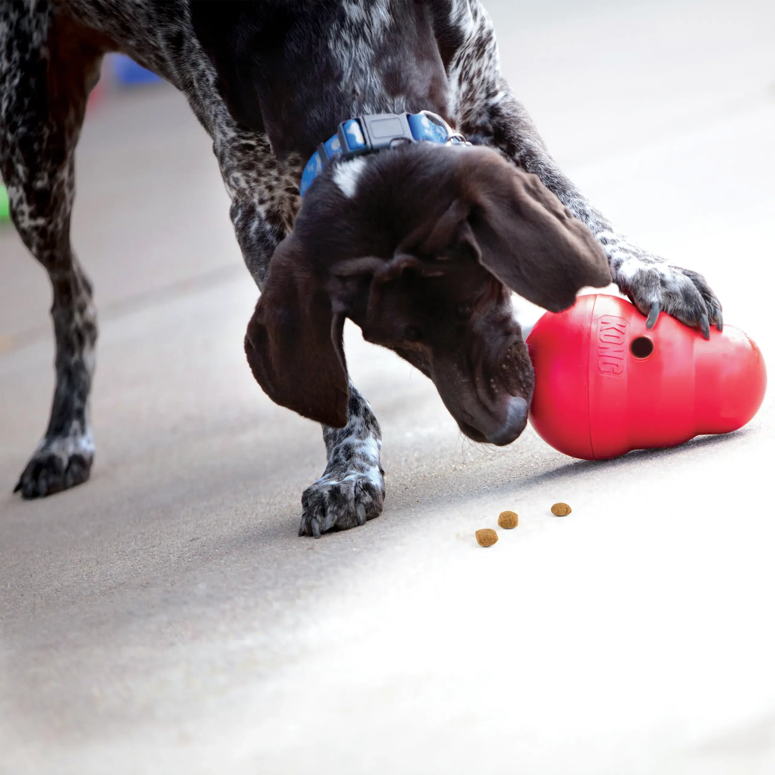 Kong Wobbler – The Ultimate Treat-Dispensing Puzzle