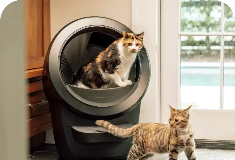 Litter-Robot’s Self-Cleaning Litter Box – Smart Tech for Cats
