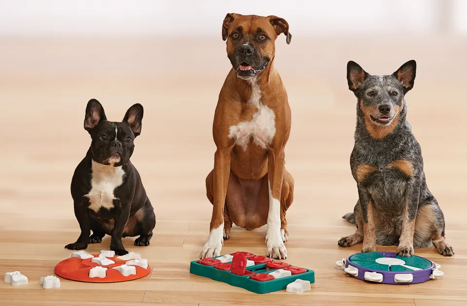 Outward Hound Puzzle Toys – Mental Stimulation for Happy Pets