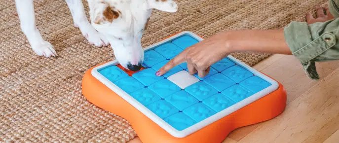 Outward Hound’s Puzzle Toys for Senior Dogs