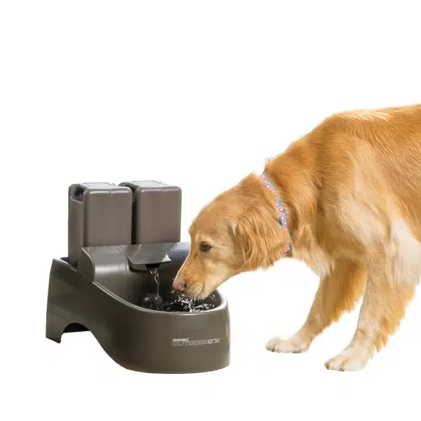 PetSafe Dog Bowls and Water Dispensers