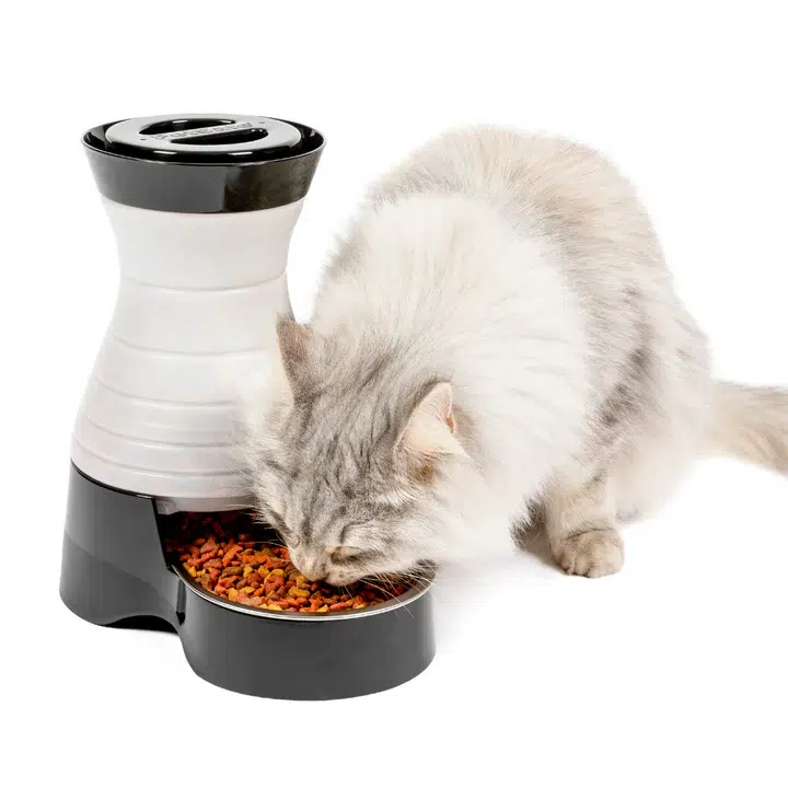 PetSafe’s Automatic Pet Feeder – Smart Solutions for Busy Owners