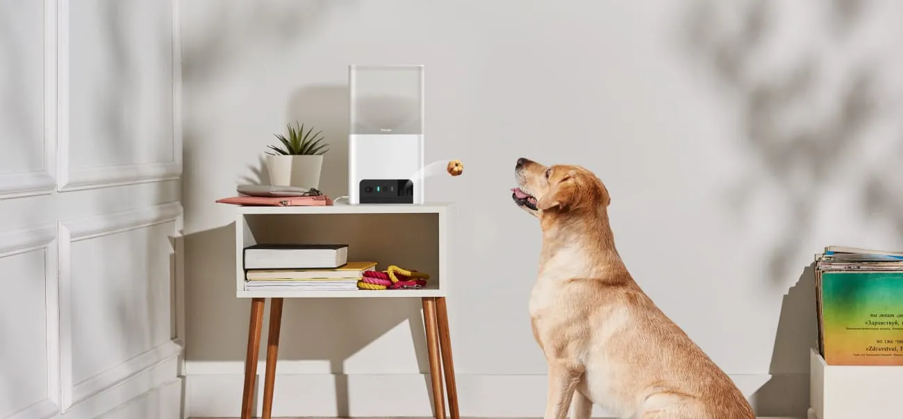 Petcube Bites 2 – Connect with Your Pet Anytime, Anywhere