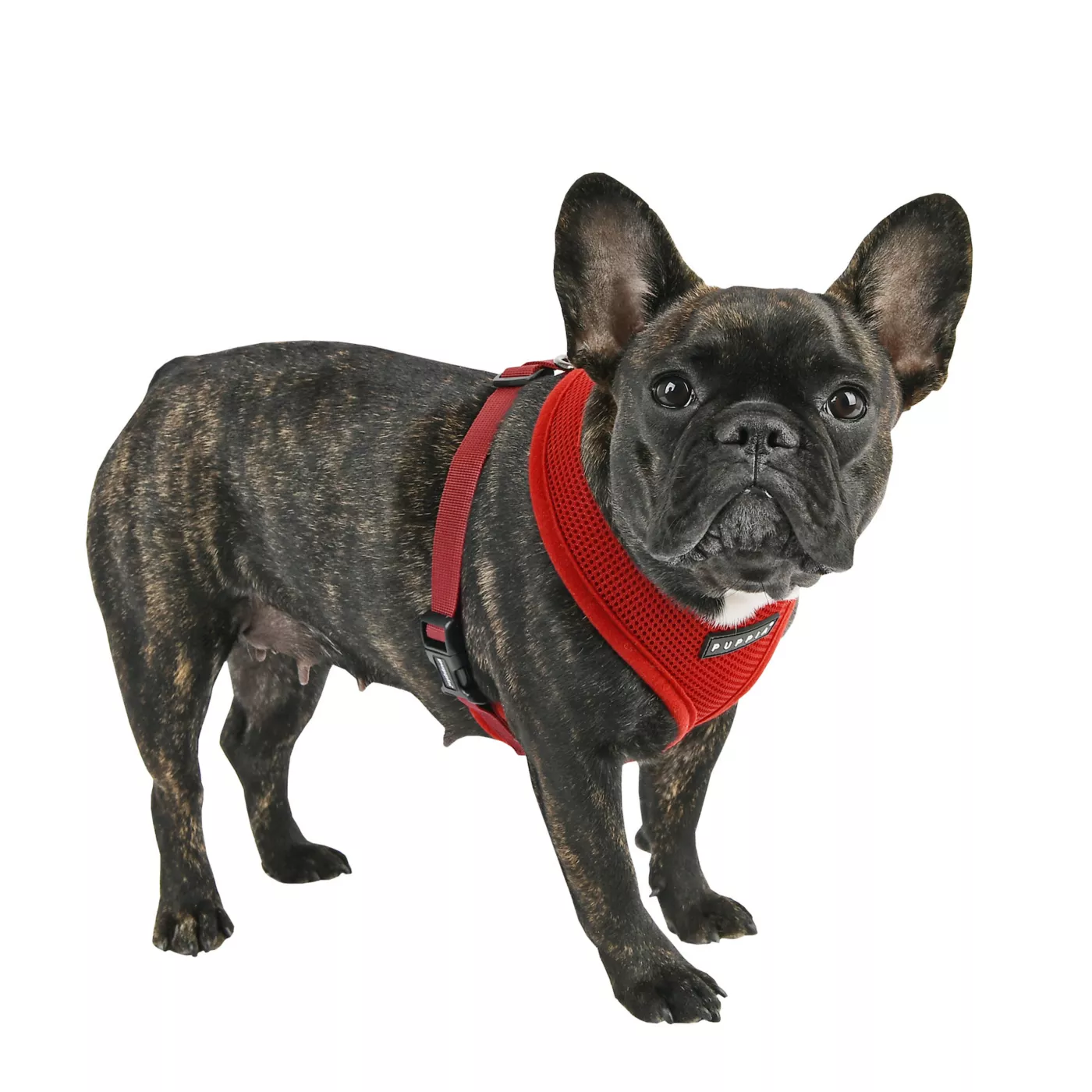 Puppia Soft Dog Harness – Fashion Meets Functionality