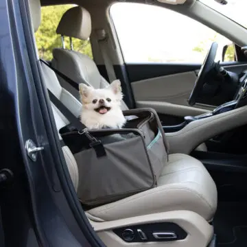 Sherpa Pet Travel Carriers