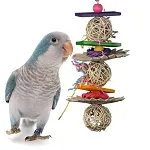 Super Bird Creations’ Foraging Toys for Intelligent Parrots