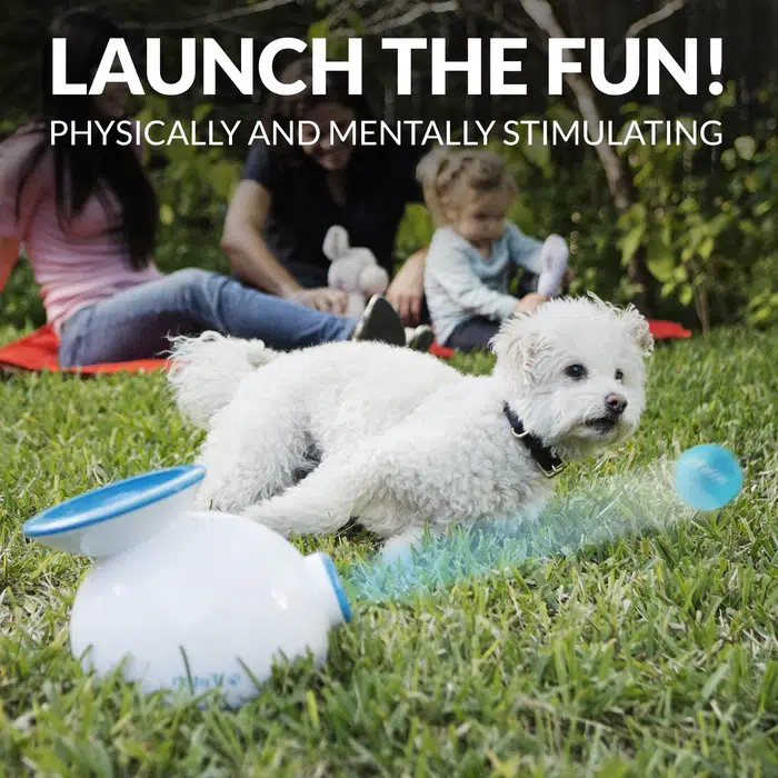 iFetch – Automatic Ball Launcher for Endless Fetch Fun