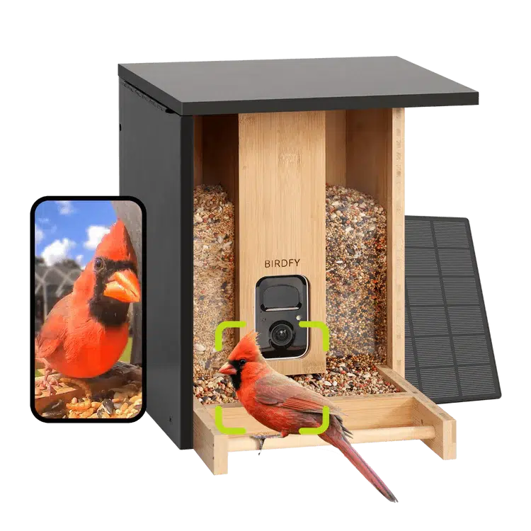 Birdfy’s Smart Bamboo Feeder Toy
