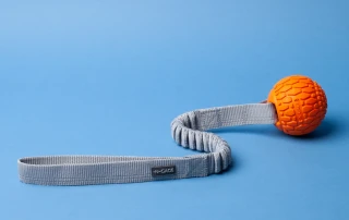N-GAGE’s Bungee Tug Handler